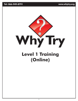 WhyTry Level 1 Online Training