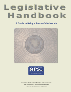 A Guide to Being a Successful Advocate