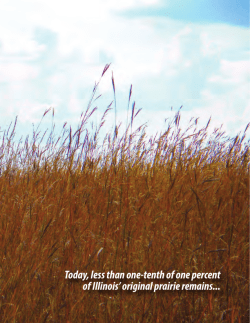 Today, less than one-tenth of one percent of Illinois` original prairie