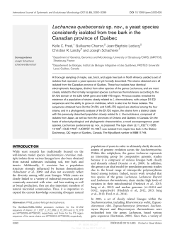 Lachancea quebecensis sp. nov., a yeast species consistently