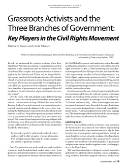 Grassroots Activists and the Three Branches of Government: