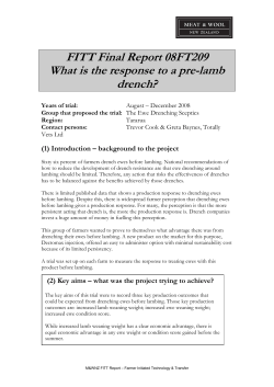 FITT final report template