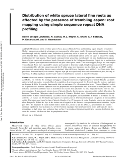 Distribution of white spruce lateral fine roots as affected by