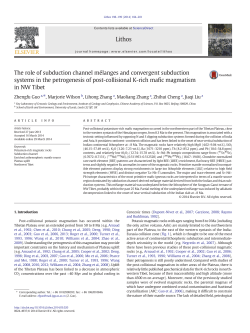 The role of subduction channel m閘anges and convergent