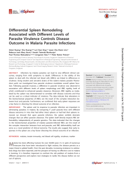 Differential Spleen Remodeling Associated with Different