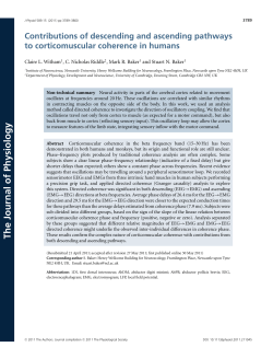Contributions of descending and ascending pathways to