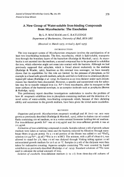 A New Group of Water-soluble Iron