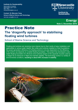 Practice Note: The `dragonfly approach` to stabilising floating wind