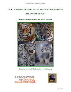 Cheetah Keeper Training Workshop: Empowering the Next Generation