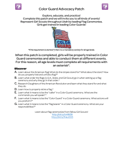 Color Guard Advocacy Patch