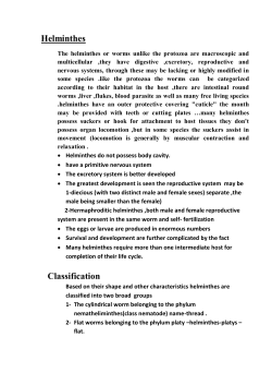 Helminthes Classification