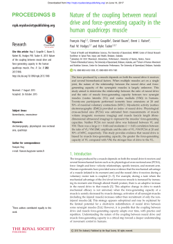 Nature of the coupling between neural drive and force