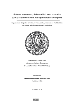 Stringent response regulation and its impact on