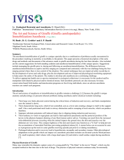 The Art and Science of Giraffe (Giraffa camilopardalis