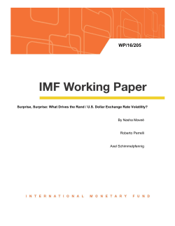 Surprise, Surprise: What Drives the Rand / US Dollar
