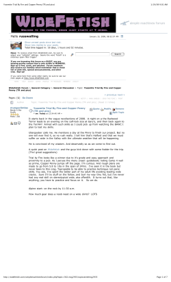 Copper Penny and Trial by Fire