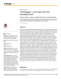 Skullduggery - Lions align and their mandibles rock