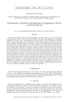 Characteristics, Dynamics and Importance of Aggregates in Rivers