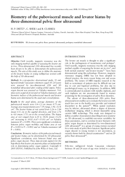 Biometry of the pubovisceral muscle and levator hiatus by three