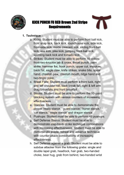 KICK PUNCH FUREDBrown2nd Stripe Requirements