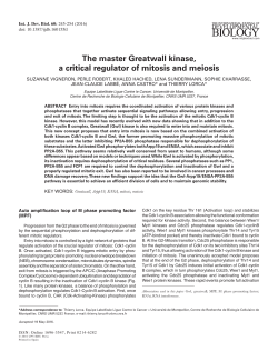 The master Greatwall kinase, a critical regulator of mitosis and meiosis