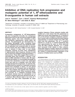 Inhibition of DNA replication fork progression and mutagenic