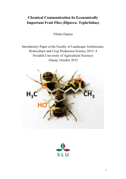 Chemical Communication In Economically Important Fruit Flies