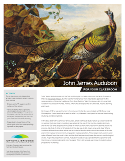 John James Audubon - Crystal Bridges Museum of American Art
