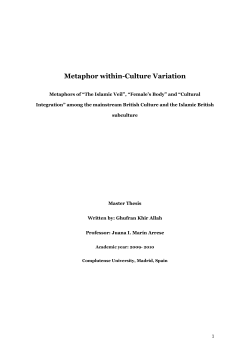 Metaphor in Culture Variation - E