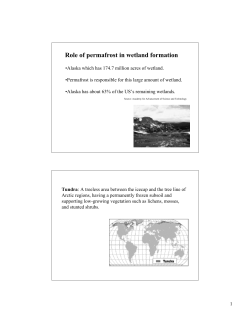 Role of permafrost in wetland formation
