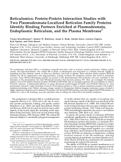 Protein-Protein Interaction Studies with Two