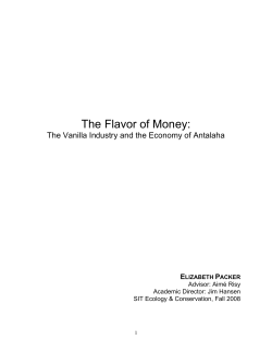 The Flavor of Money: The Vanilla Industry and the Economy of