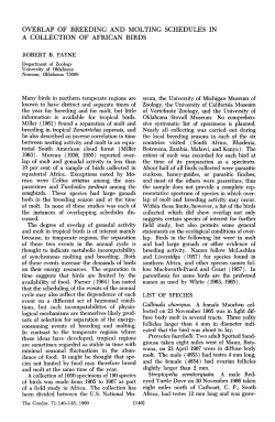 Overlap of Breeding and Molting Schedules in a Collection of