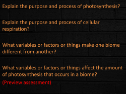 Explain the purpose and process of photosynthesis? Explain the