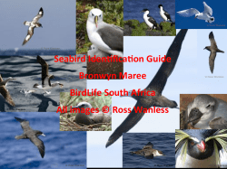 Seabird(Iden+fica+on(Guide( Bronwyn(Maree( BirdLife(South(Africa