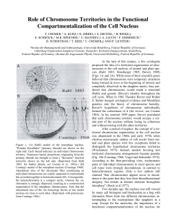 Role of Chromosome Territories in the Functional