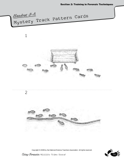 A Mystery Track Pattern Cards - National Science Teachers