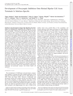 Development of Presynaptic Inhibition Onto Retinal Bipolar Cell
