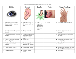 Sights Sounds Smells Taste Touch/Feelings