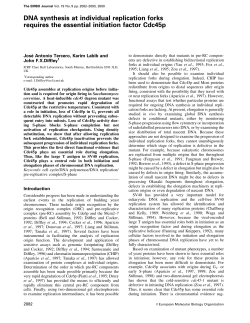 DNA synthesis at individual replication forks requires the essential