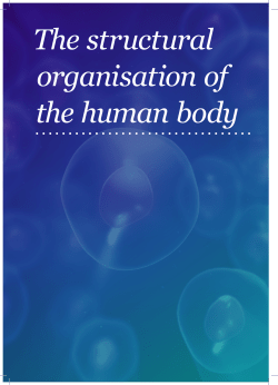 The structural organisation of the human body