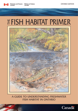 A Guide to Understanding Freshwater Fish Habitat in Ontario