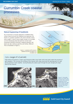 Currumbin Creek Coastal Processes