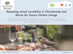 Chardonnay clonal tasting