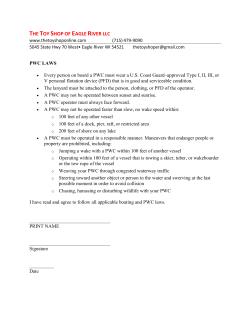 THE TOY SHOP OF EAGLE RIVER LLC