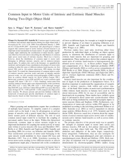 Common Input to Motor Units of Intrinsic and Extrinsic Hand Muscles