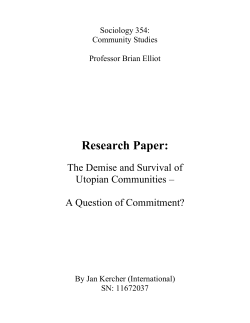 Research Paper - Uni Hohenheim