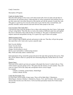 Candy Connection Description of Program
