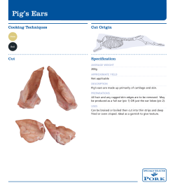 Pig`s Ears - Scotch Kitchen