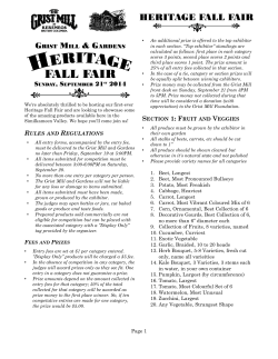 2014 Rules and Categories